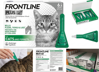 FRONTLINE Plus Flea and Tick Treatment for Cats Over 1.5 lbs. 6 Treatments